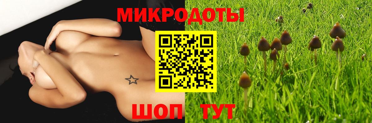 Галлюциногенные грибы Psilocybine cubensis  Вход с VPN  Кудрово 