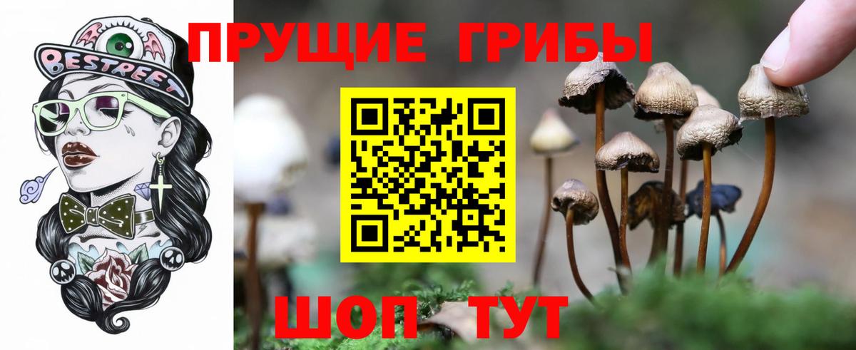 Псилоцибиновые грибы мицелий Кудрово